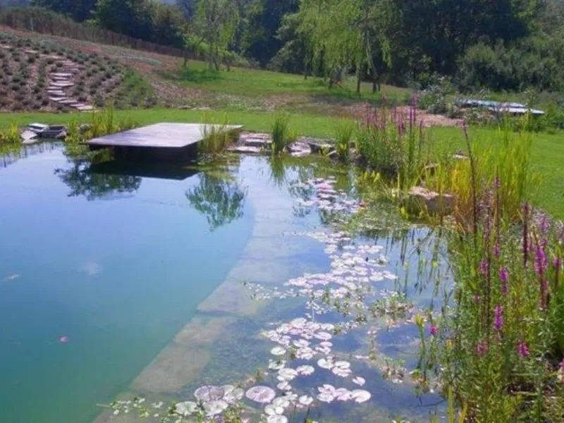 Case rustiche ristrutturate Bipiscina