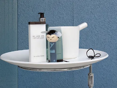ceramiche da bagno