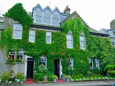 Edera casa