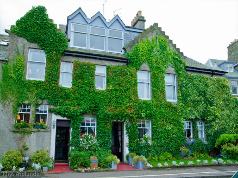 Edera casa 
