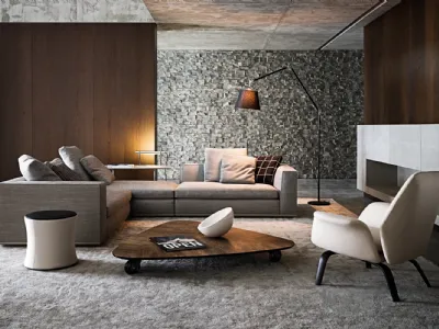 Minotti divani