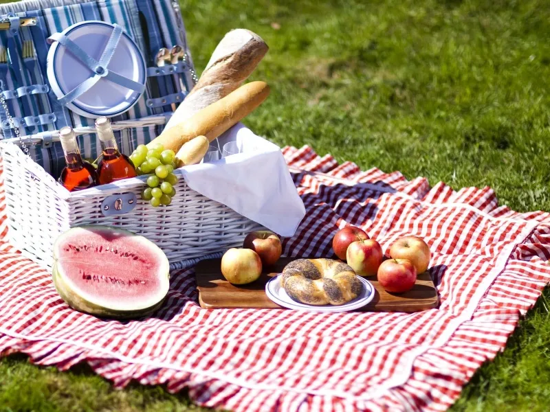 Pic-nic