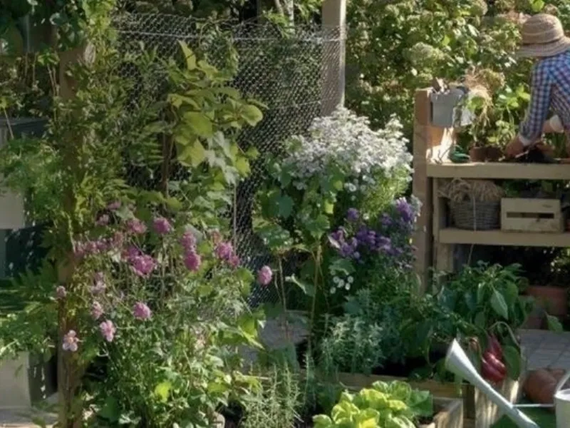 Realizzare un piccolo giardino Leroy Merlin
