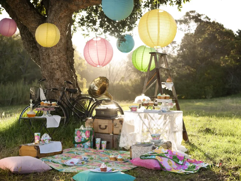 pic nic
