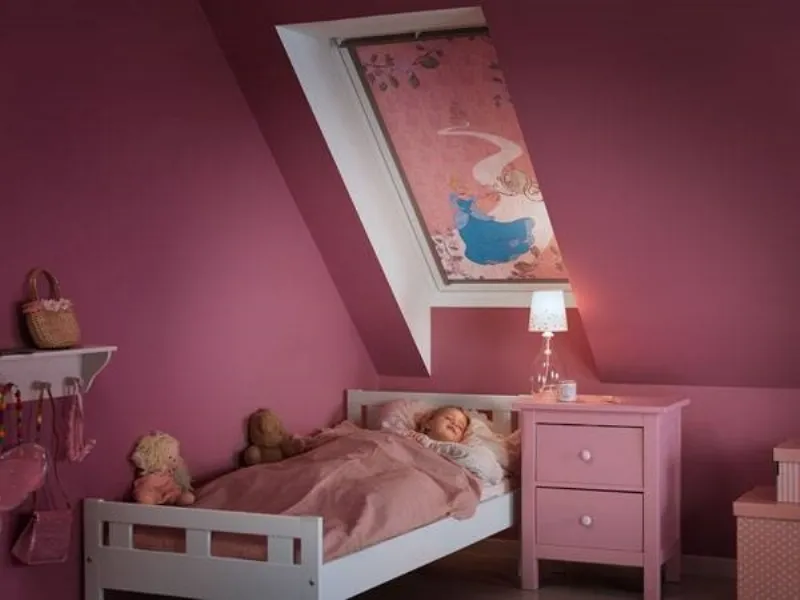 tende oscuranti velux disney